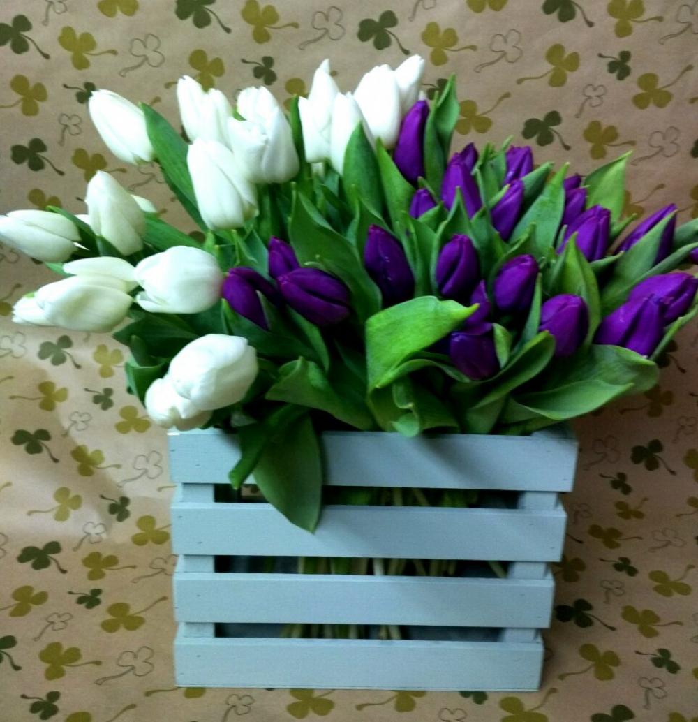 Тюльпаны в ящике